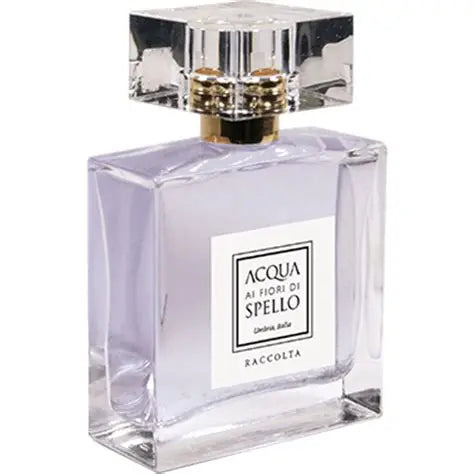 Raccolta, Eau de Parfum 50ml